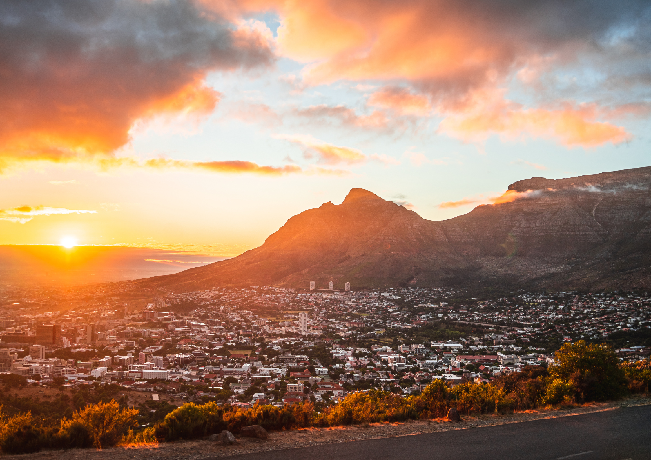 Western Cape Tree Felling