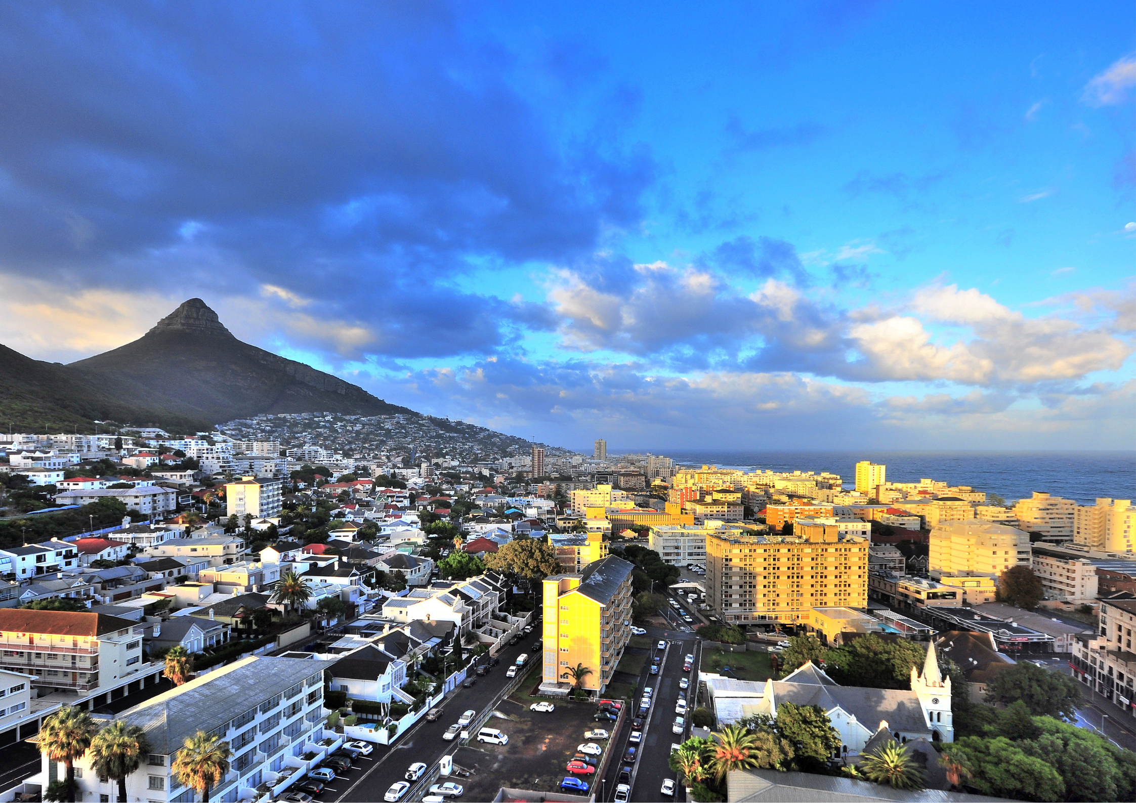 Western Cape tree felling
