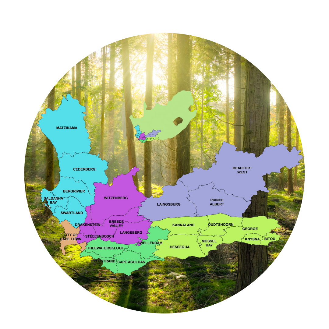 Tree Felling Western Cape Tree Felling Western Cape