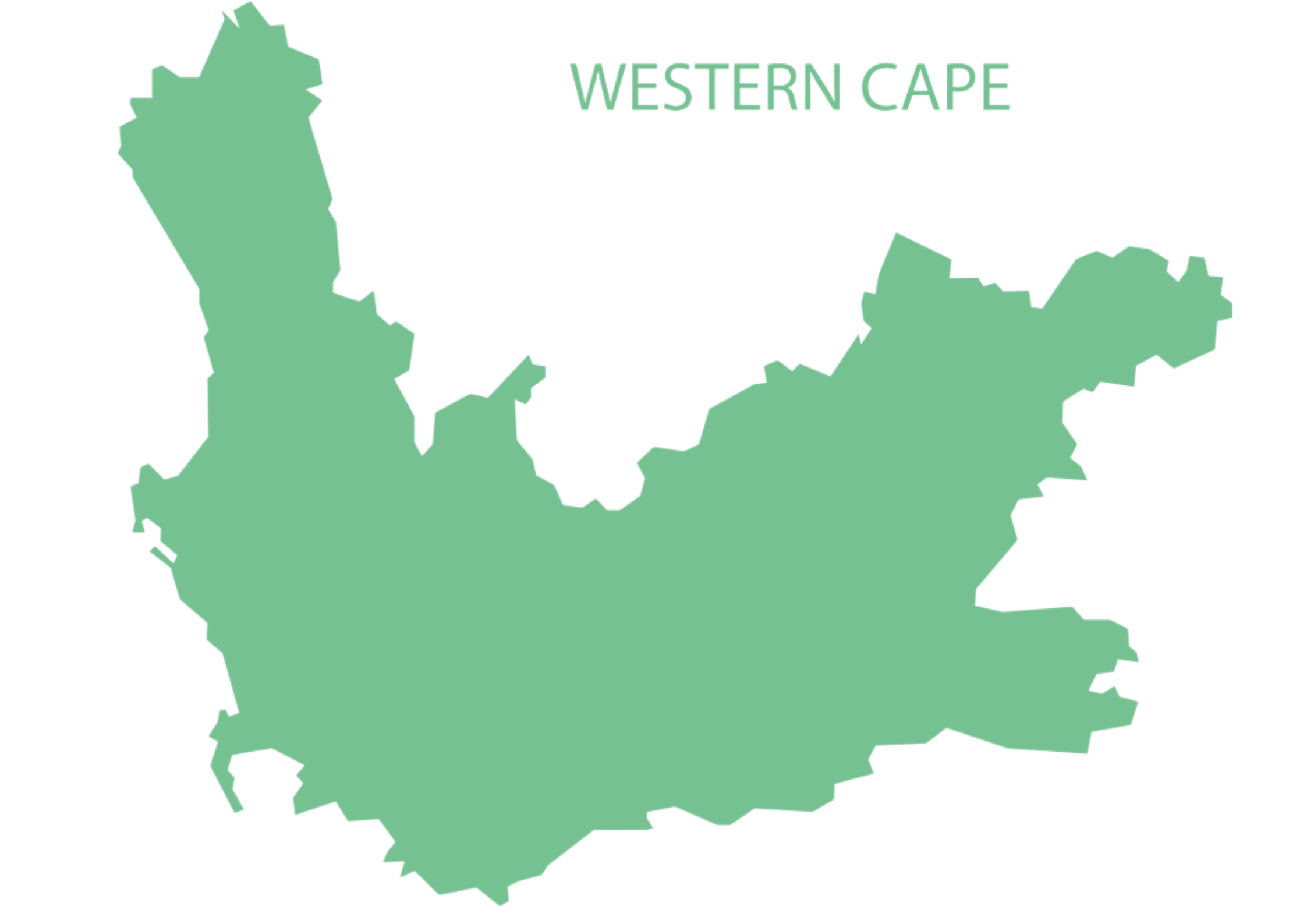 Western Cape Tree Felling