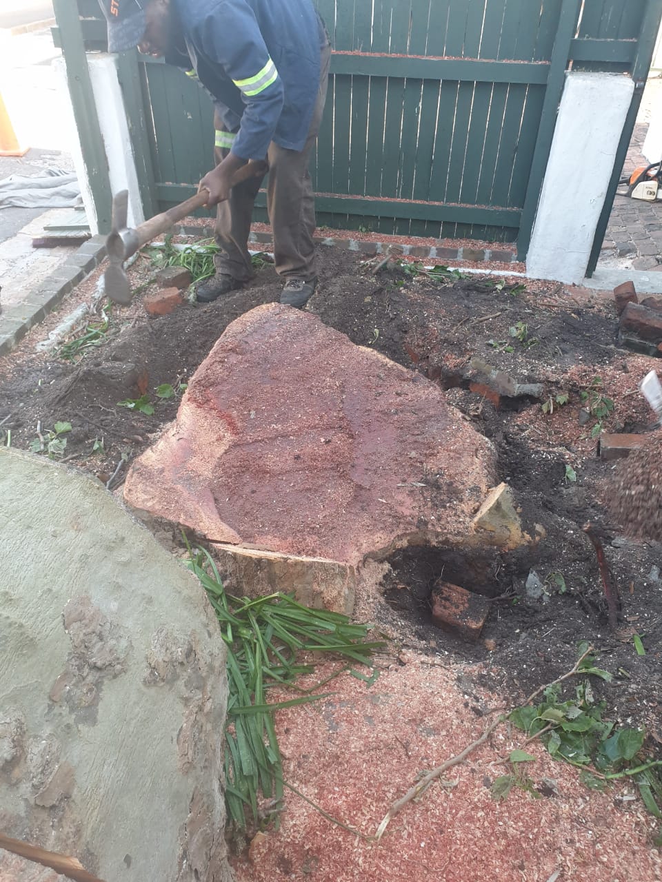 Stump Removal Stump Removal