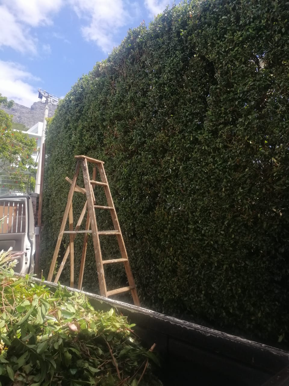 Landscaping in Western Cape Landscaping in Western Cape