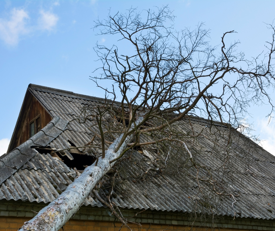 Falling Tree