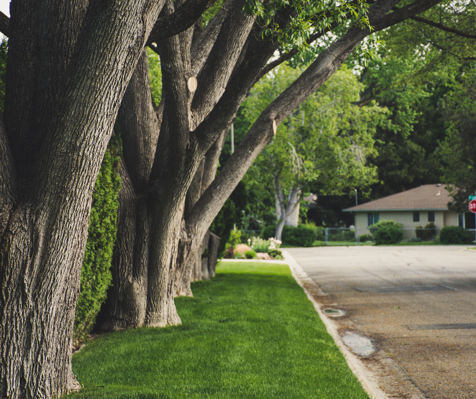 Create safer, more usable outdoor spaces