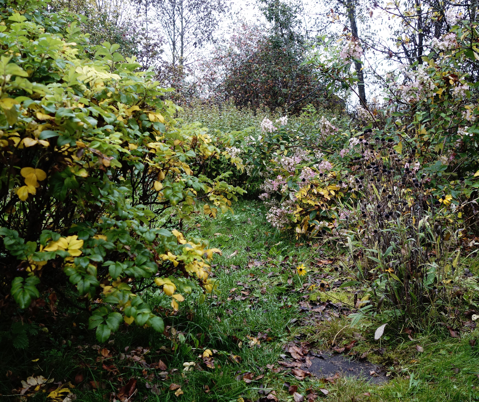 garden growth contro