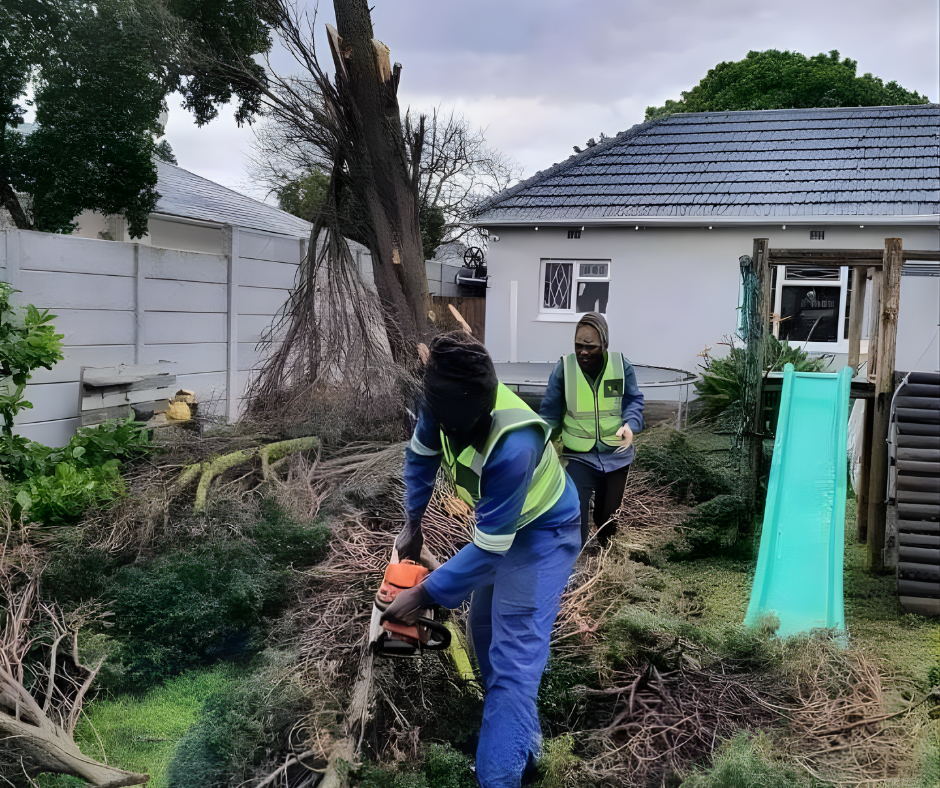 Western Cape Tree felling- Residential home Yards Clean up in Durbanville