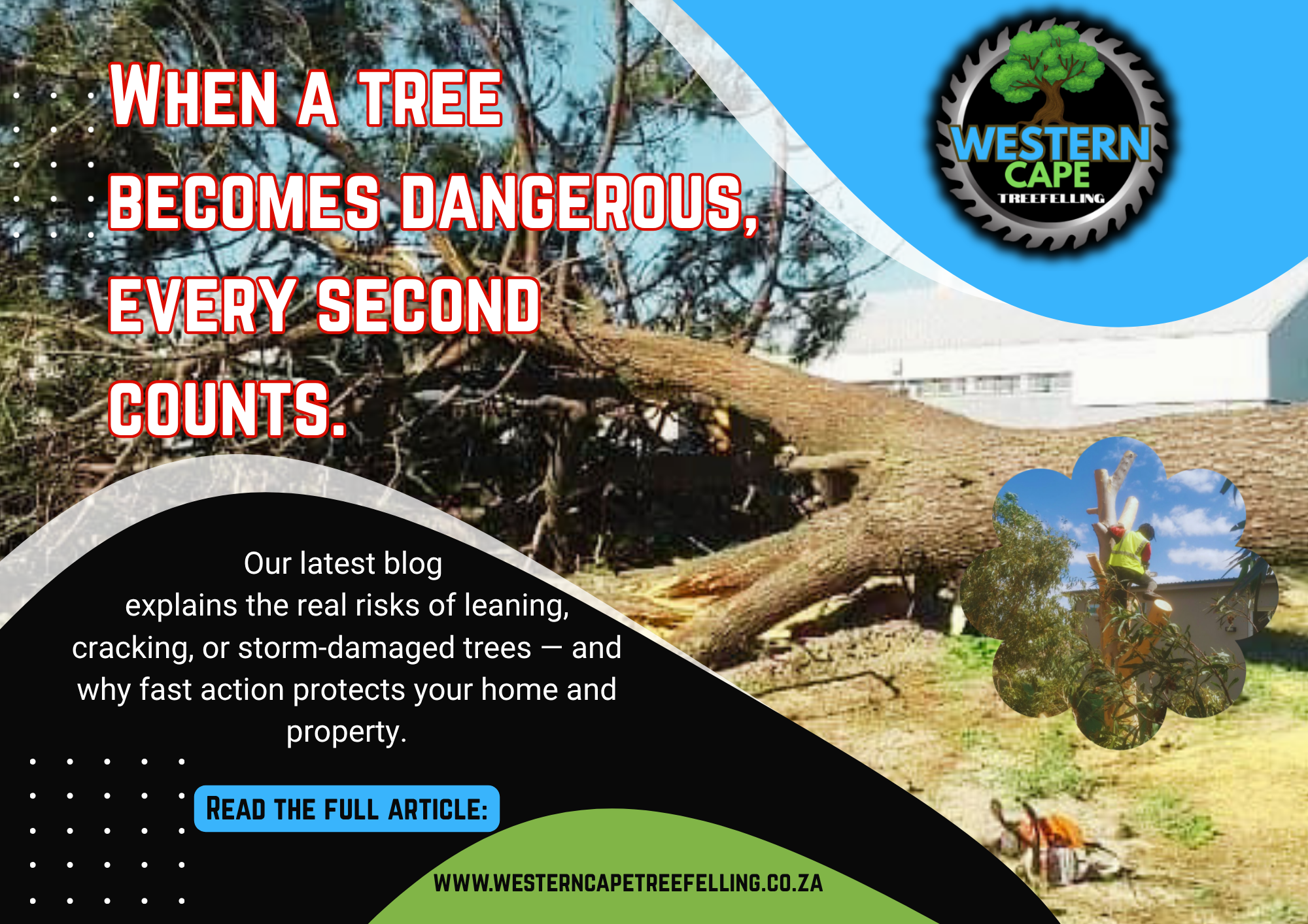 Urgent Tree Removal Blog – Why Fast Action Matters Poster promoting blog about urgent tree removal risks and fast response in Bellville